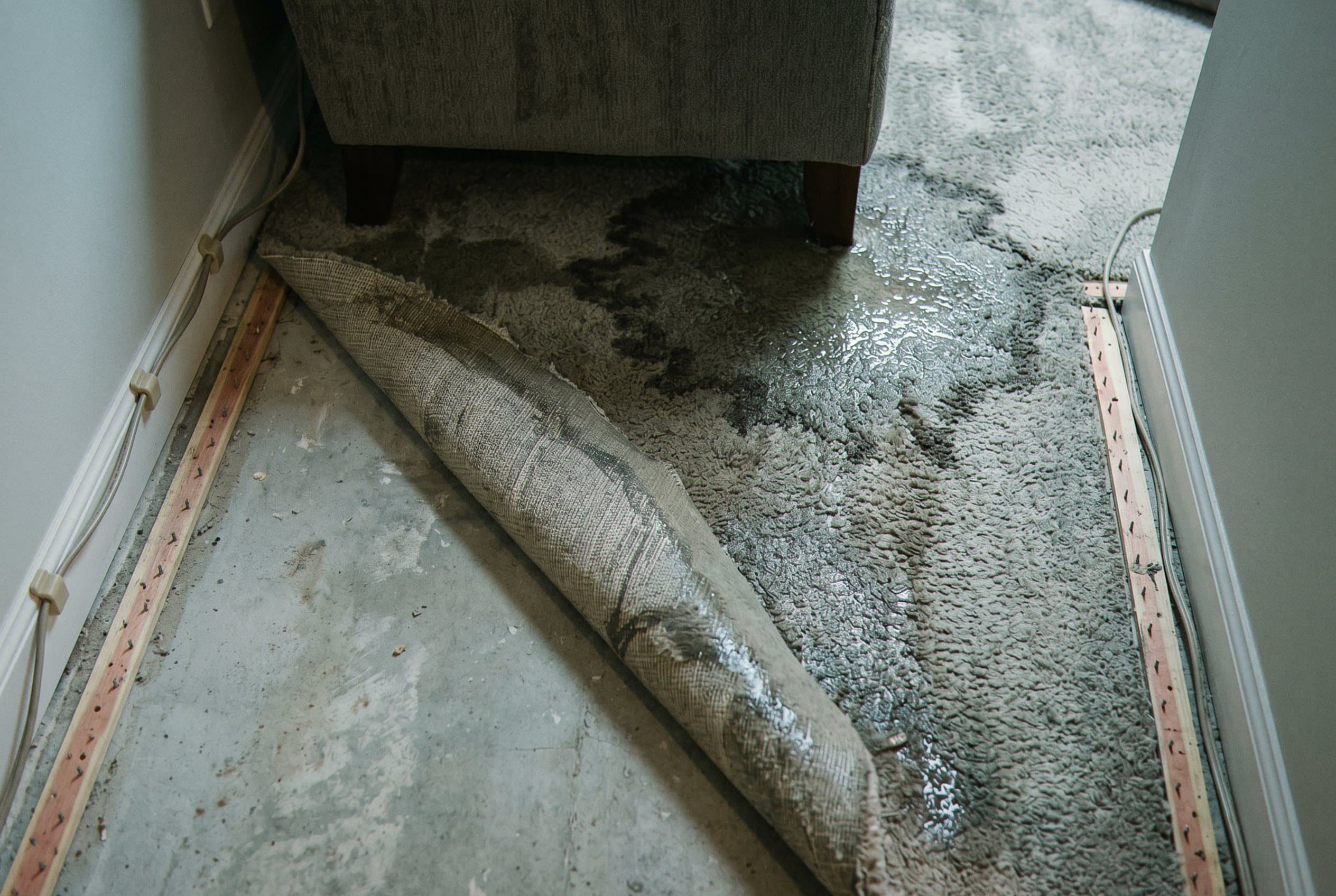 Carpet soaked dark from water